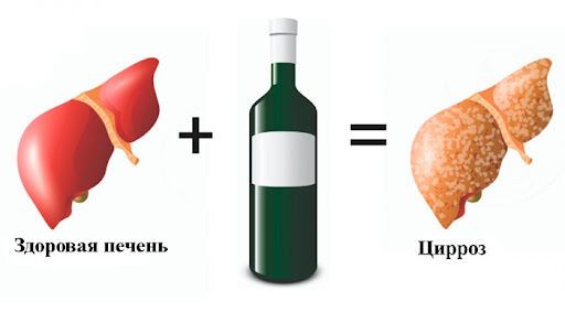 Как алкоголь влияет на желудок и печень?